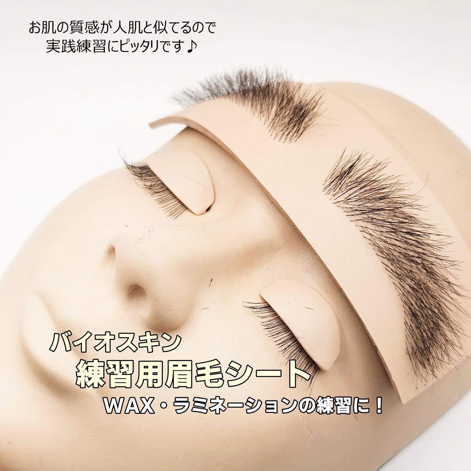 レジーナ】バイオスキン アイブロウシート – FLAP EYELASHES【こだわり