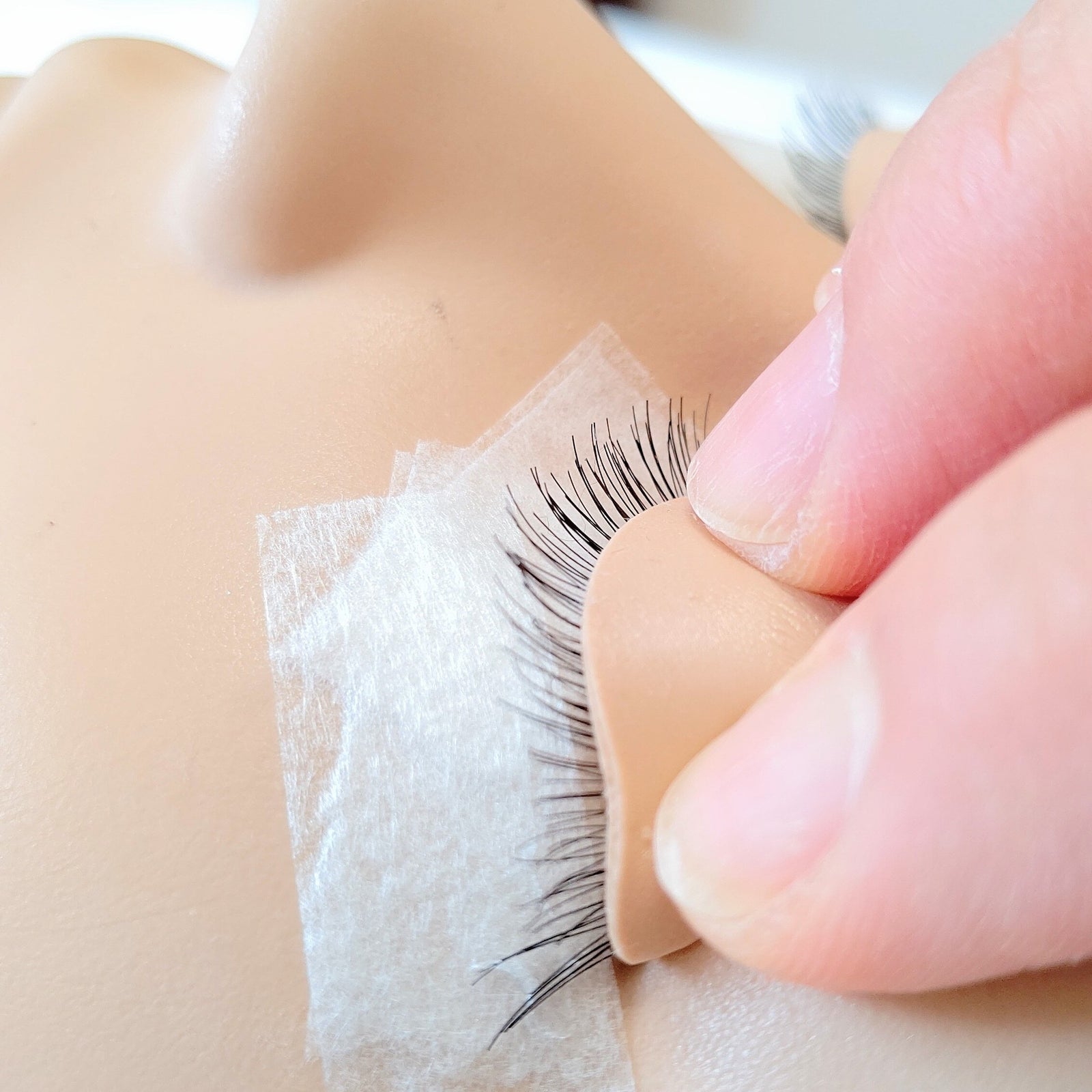 レジーナ バイオスキンセット（FH100E VER2R） – FLAP EYELASHES